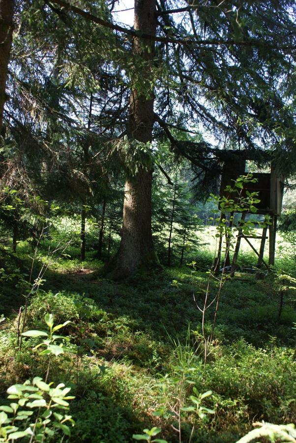 Gaestehaus Wuehrer Franking Exterior foto